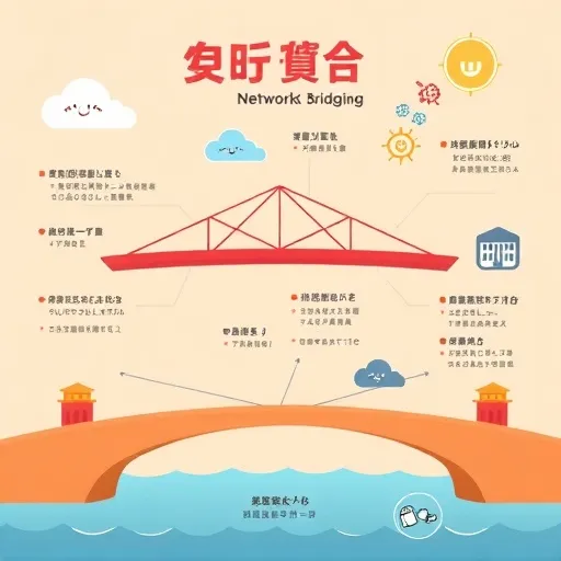 網路橋接的基本概念：它到底在幹嘛？